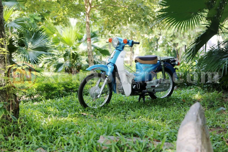 Xe máy Việt Thái Cub 81 50cc