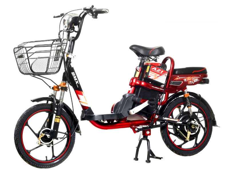 Xe đạp điện BMX Beauty 2