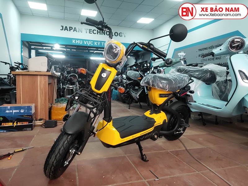 Xe Đạp Điện M133 GiantMomentum Chính Hãng Nhập Khẩu