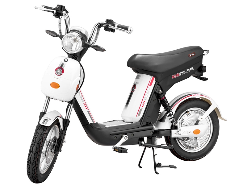 Xe Đạp Điện Nijia 12A
