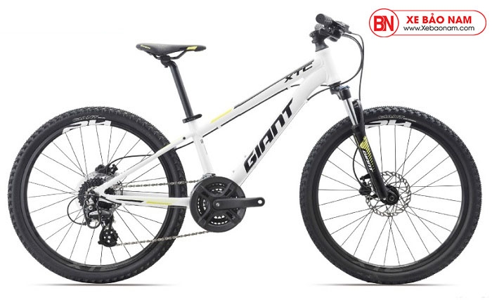 Xe Giant 2020 Cate 24 D1