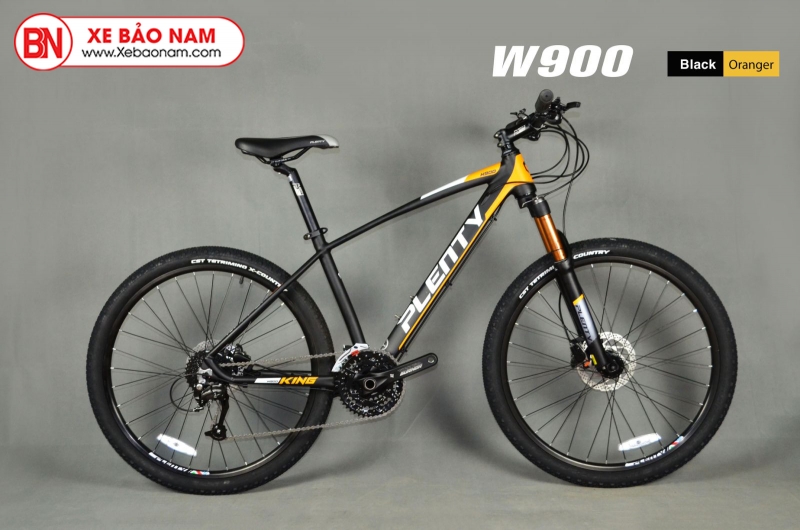 Xe đạp PLENTY W900