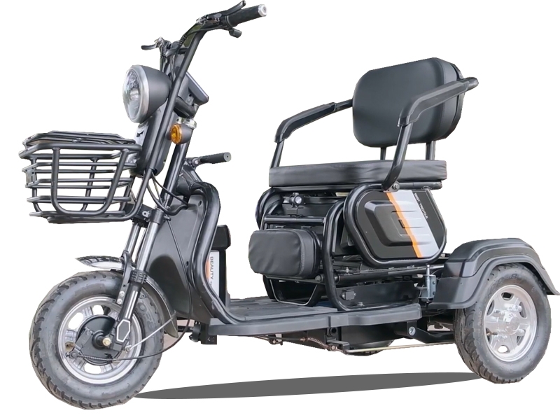 Xe Điện 3 Bánh Amo