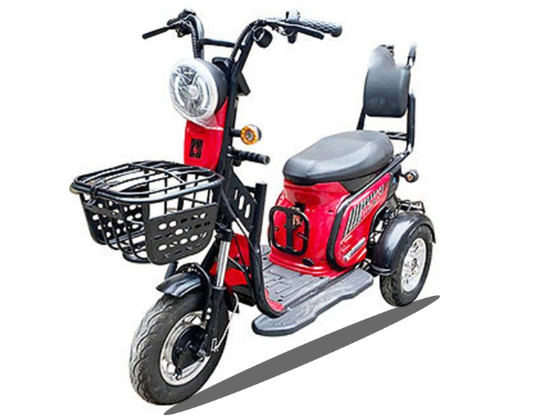 Xe điện 3 bánh RTS