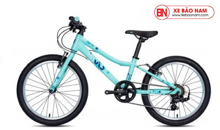 Xe Giant 2020 Cate 20