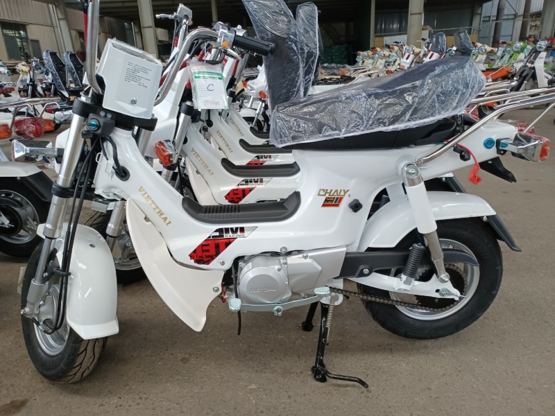 Xe Máy Chaly 82 50cc Đèn Vuông