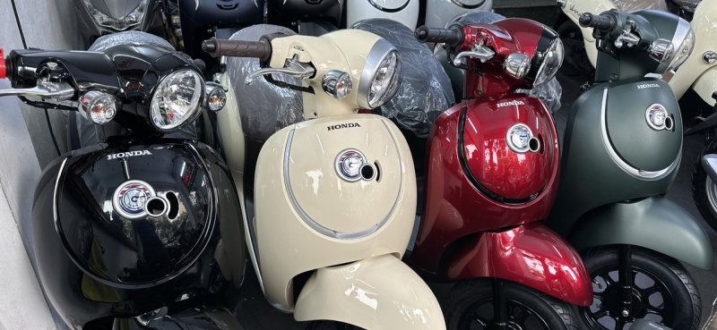 Xe ga Giorno 50cc Màu Đỏ mận (Nhập Khẩu Nhật Bản)