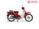 Xe Máy Ally Cub New SE 50cc