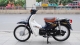 Xe Máy Boss City Cub 81 50cc