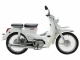 Xe Máy Ally Cub Classic 50cc