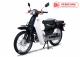 Xe máy Cub 82 Halim 50cc