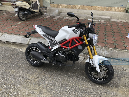 Monster 110 on sale