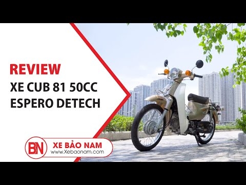Xe Cub 81 Espero Detech 2020 GIÁ TỐT 13.000.000đ (KHÔNG CẦN BẰNG LÁI PHÙ HỢP HỌC SINH) | Xe Bảo Nam